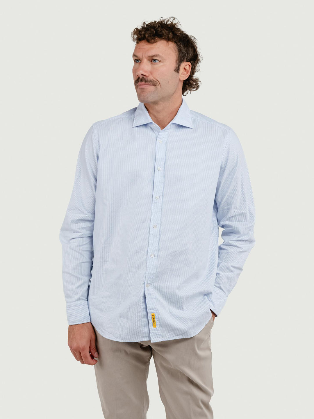 CAMICIA BRADFORD IN COTONE CON MICRORIGA BIANCA E AZZURRA
