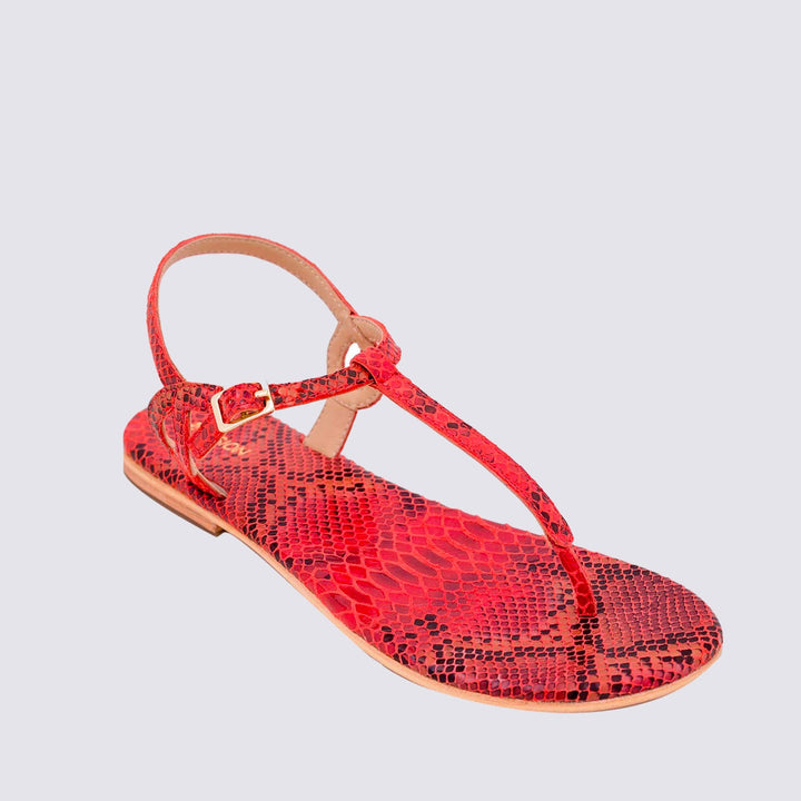 CORAL BLUE 220/002ROSSO