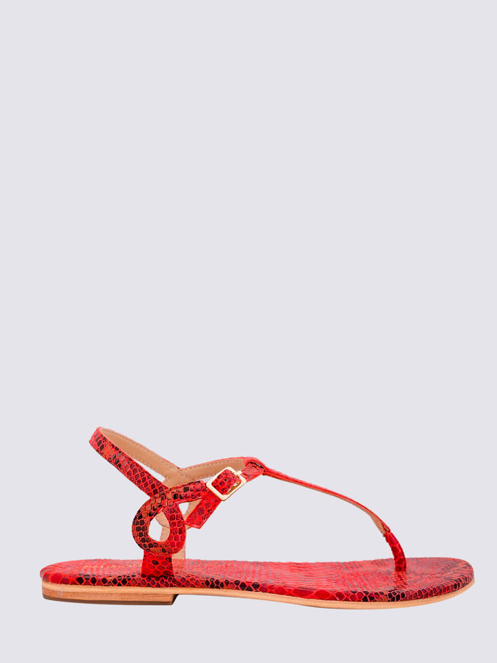 CORAL BLUE 220/002ROSSO