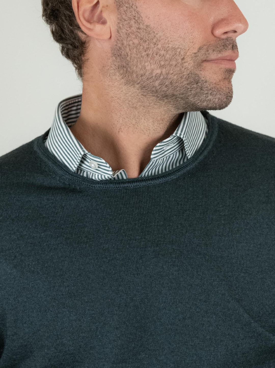 MAGLIA GIROCOLLO IN LANA MERINO VERDE 0008 45 FIESOLI DANIELE 