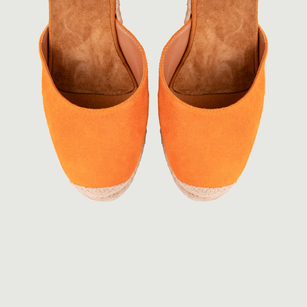 UNISA CARNOTCLEMENTINE