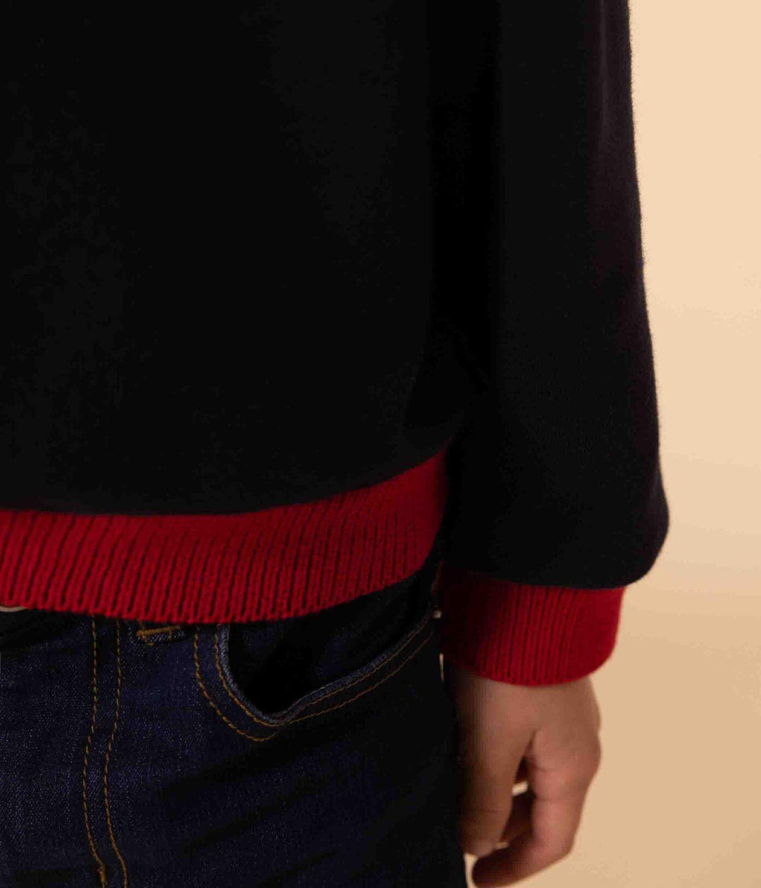 FELPA GIROCOLLO ROSSO BLU E PANNA A0832 06 PETIT BATEAU 