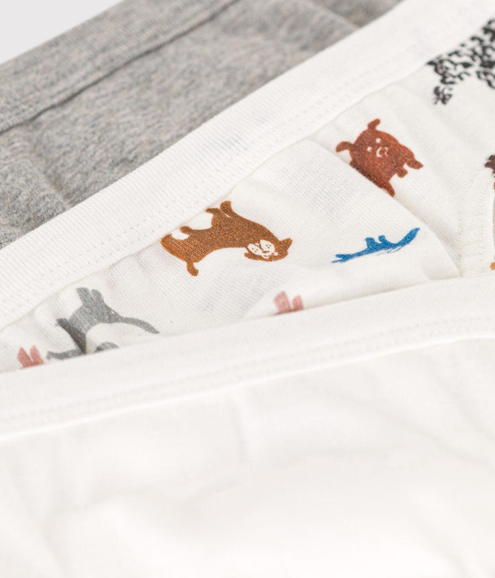 CONFEZIONE DA 3 SLIP BAMBINO IN COTONE MOTIVO CANE A08L5 00 PETIT BATEAU 
