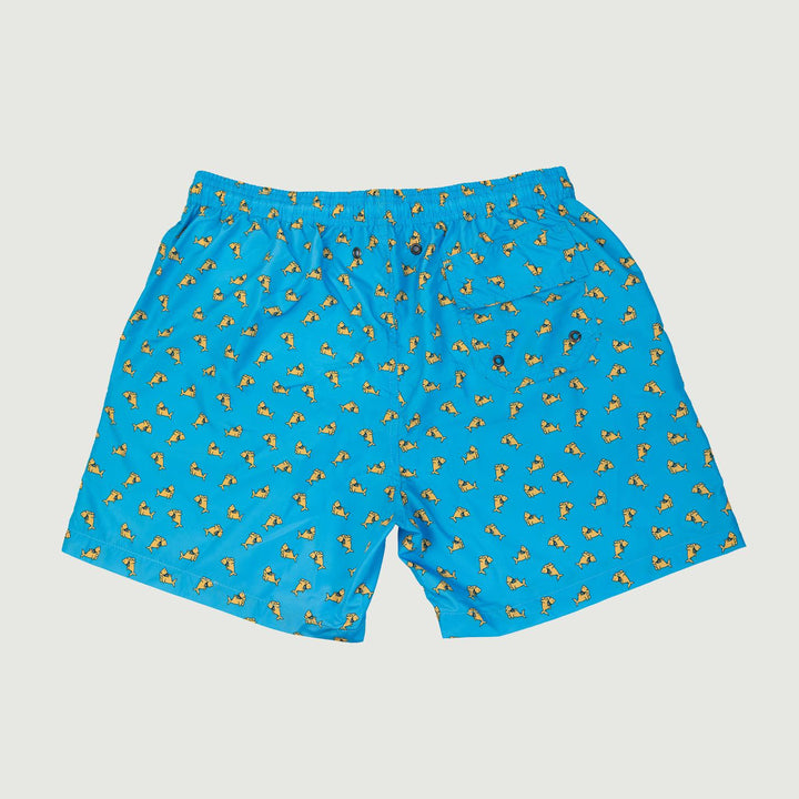 COSTUME AZZURRO FANTASIA SQUALI