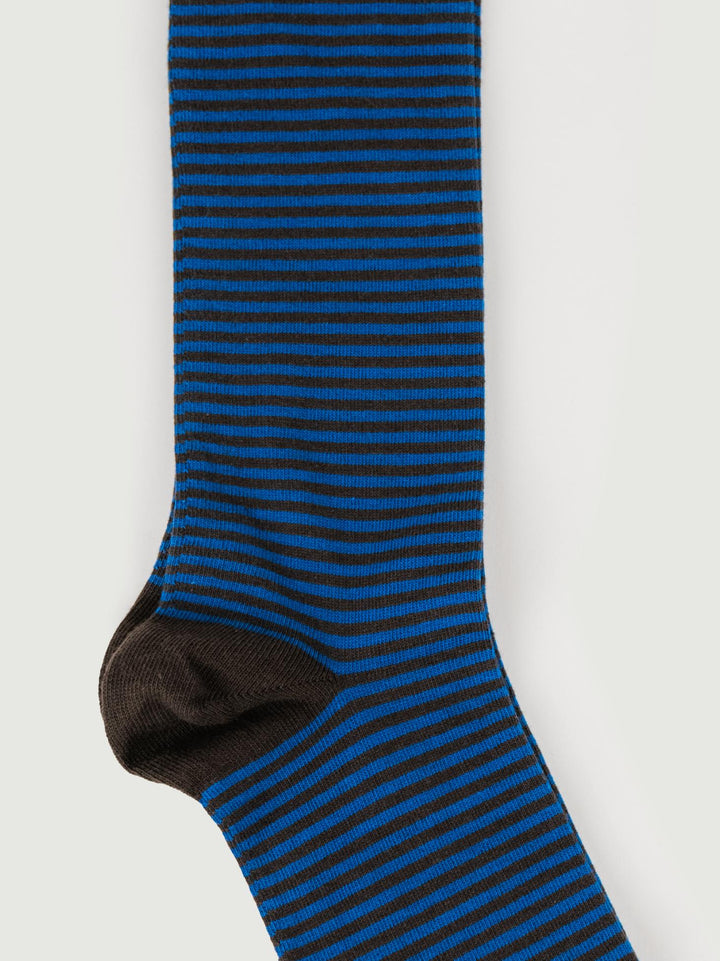 CALZE A RIGHE bluette 64104G ESPRESSO/GENZIANA RED 